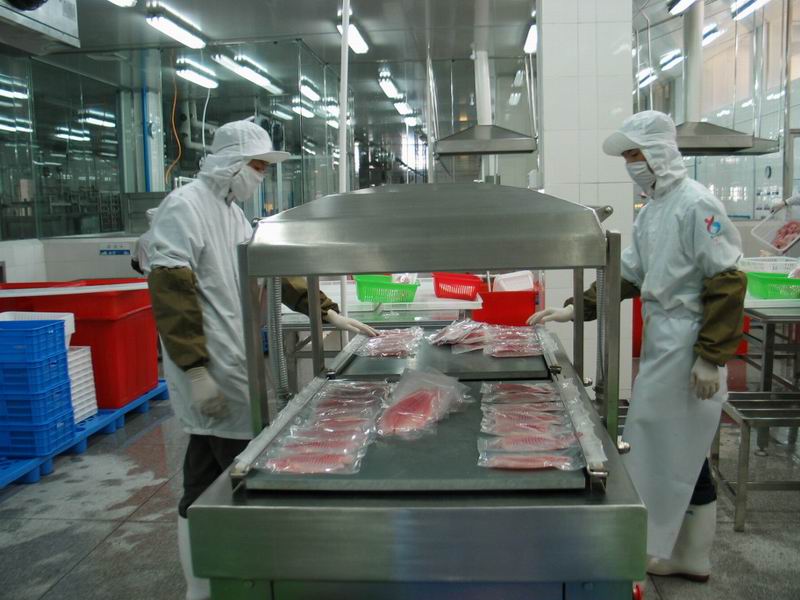 Tilapia processing workshop inspection