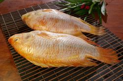 RED GS TILAPIA